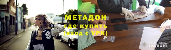 шишки Верея