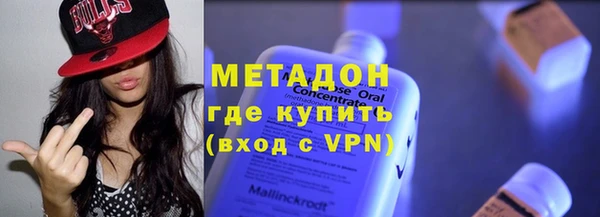 шишки Верея