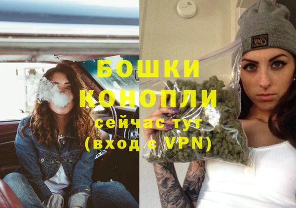 шишки Верея