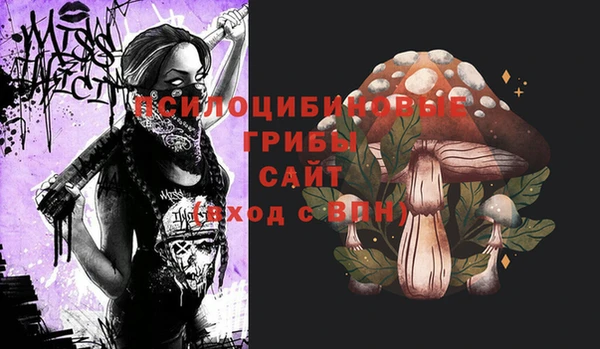 твердый Верхний Тагил