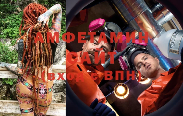 шишки Верея