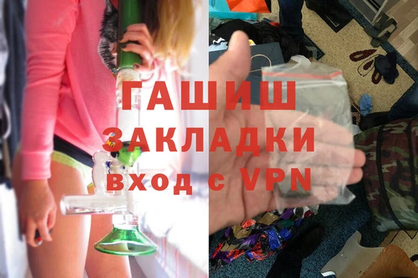 шишки Верея