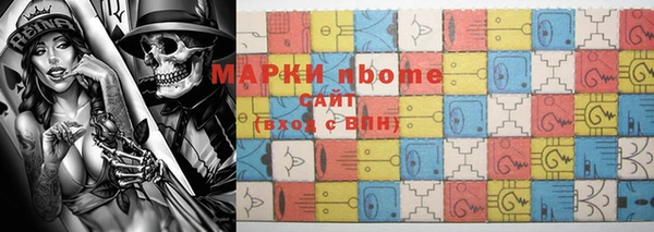 шишки Верея