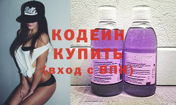 шишки Верея