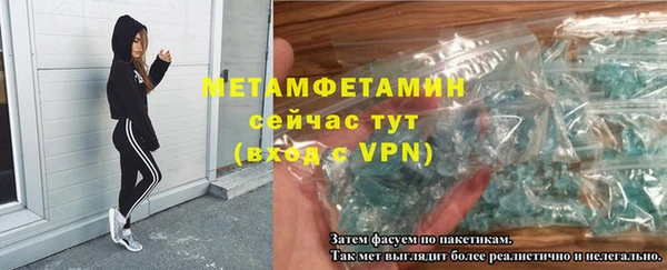 шишки Верея
