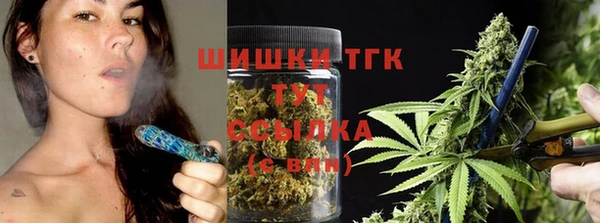 твердый Верхний Тагил
