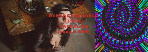твердый Верхний Тагил