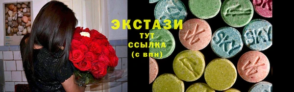 шишки Верея