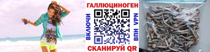 где найти наркотики  кракен сайт  Галлюциногенные грибы GOLDEN TEACHER  Вологда 